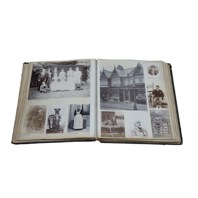 A late Victorian photograph album; 1890's onwards, assorted portraits, topography including Sussex, Hove Bowling Club, opening meeting 1905 and various railway related images. Condition - spine torn album damaged, photos